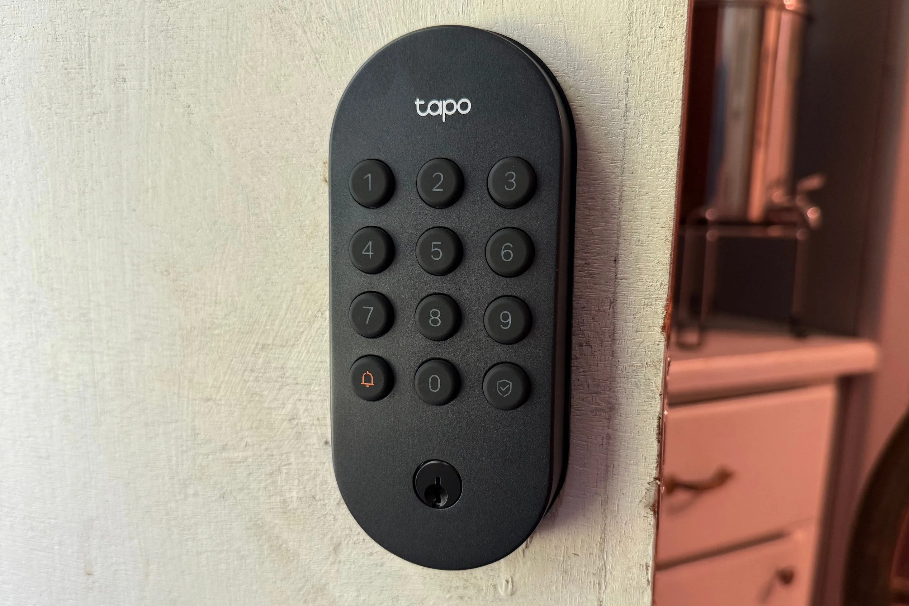 Tapo DL100 exterior